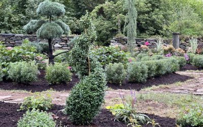 Sunset Nurseries News 4 We are very thankful