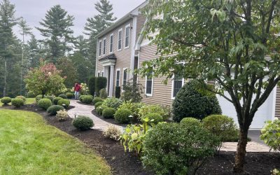 Sunset Nurseries News 6 The Sunset Crew