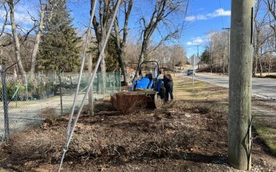 Sunset Nurseries News 7 He opened this site for another retail nursery